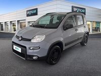 Usata Fiat Panda 4x4 Wild 86 CV (63 kW) 2021 Grigio Utilitaria