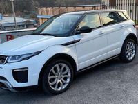Usata Land Rover Range Rover evoque Pure 150 CV (110 kW) 2016 Bianco SUV