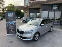 Usata Skoda Fabia Business Line 75 CV (55 kW) 2019 Argento Utilitaria