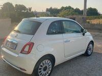 usata Fiat 500 2020 GPL