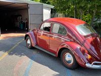 Usata VW Beetle 34 CV (25 kW) 1959 Rosso / pastello Utilitaria