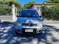 Usata Fiat Panda 4x4 Climbing 60 CV (44 kW) 2005 Argento Utilitaria