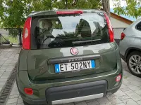 Usata Fiat Panda 4x4 75 CV (55 kW) 2013 Verde Utilitaria