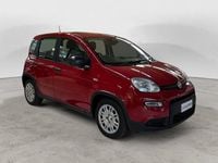 Usata Fiat Panda S 69 CV (50 kW) 2024 Rosso Utilitaria