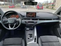 usata Audi A4 Allroad A4 allroad 3.0 tdi Business Evol. 218cv s-tronic