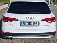 Usata Audi A4 Allroad Ambiente 190 CV (139 kW) 2017 Bianco Station wagon