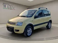 Usata Fiat Panda 4x4 60 CV (44 kW) 2005 Giallo Utilitaria