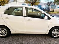 Usata Kia Picanto Urban 67 CV (49 kW) 2024 Bianco Utilitaria