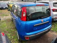 Usata Fiat Panda 69 CV (50 kW) 2025 Blu italia metallizzato Utilitaria