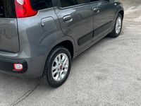 Usata Fiat Panda City Life 69 CV (50 kW) 2020 Grigio Utilitaria