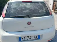 Usata Fiat Punto 75 CV (55 kW) 2015 Bianco Utilitaria