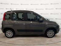Usata Fiat Panda Lounge 69 CV (50 kW) 2020 Grigio Utilitaria
