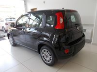 usata Fiat Panda 1.0 FireFly S&S Hybrid 338.7575187 MASSARI MARCO