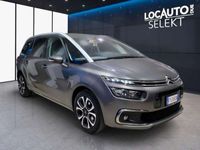 usata Citroën C4 SpaceTourer GrandGrand Space BlueHDi 160 S&S EAT8 Business del 2019 usata a Torino
