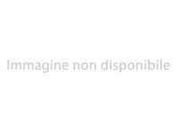 usata Lancia Ypsilon New ELEFANTINO 2014 1.3 Mjt 95CV S&S