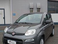 Usata Fiat Panda Easy 69 CV (50 kW) 2020 Grigio Utilitaria