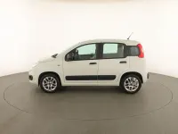 Usata Fiat Panda Easy 86 CV (63 kW) 2016 Bianco Utilitaria