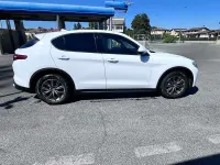 Usata Alfa Romeo Stelvio Super 160 CV (117 kW) 2020 Bianco SUV