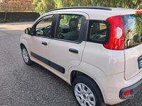 Usata Fiat Panda 70 CV (51 kW) 2013 Grigio Utilitaria