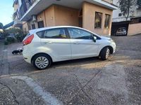 Usata Ford Fiesta Titanium 82 CV (60 kW) 2010 Utilitaria