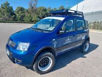 Usata Fiat Panda 4x4 Climbing 60 CV (44 kW) 2005 Blu Utilitaria