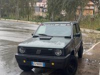 Usata Fiat Panda 4x4 1988 Verde Utilitaria