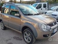 Usata Fiat Panda Cross 69 CV (50 kW) 2007 Marrone Utilitaria