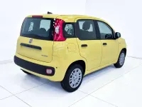 Nuova Fiat Panda Icon 65 CV (47 kW) 2026 Giallo Utilitaria