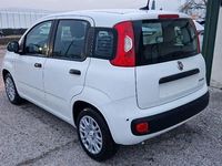 Nuova Fiat Panda S 69 CV (50 kW) 2025 Vari colori Utilitaria