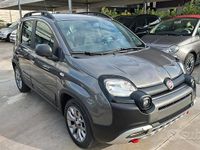 Usata Fiat Panda Cross Cross 85 CV (62 kW) 2020 Grigio Utilitaria