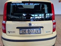 usata Fiat Panda 1.2 Dynamic Natural Power