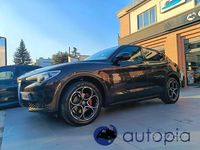 Usata Alfa Romeo Stelvio 210 CV (154 kW) 2019 Marrone SUV