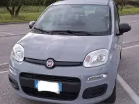 Usata Fiat Panda Easy 69 CV (50 kW) 2020 Grigio Utilitaria