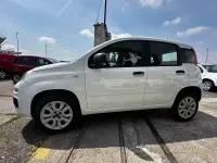 Usata Fiat Panda Lounge 70 CV (51 kW) 2020 Bianco Utilitaria
