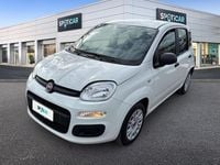 Usata Fiat Panda S 69 CV (50 kW) 2021 Bianco Utilitaria