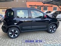 usata Fiat Panda PROMO FINANZ RED 1.0 FireFly 5 POSTI Hybrid KM 0 Castello di Annone