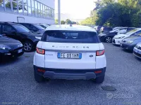 Usata Land Rover Range Rover evoque Pure 150 CV (110 kW) 2016 Bianco SUV