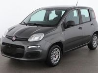 Usata Fiat Panda 95 CV (69 kW) 2016 Grigio Utilitaria