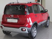 usata Fiat Panda Cross Cross 0.9 TwinAir Turbo S&S 4x4 del 2015 usata a Potenza