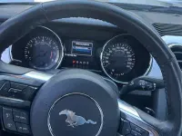 Usata Ford Mustang Fastback 314 CV (230 kW) 2018 Coupé