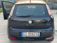 Usata Fiat Punto Evo 65 CV (47 kW) 2010 Utilitaria