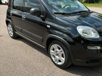 usata Fiat Panda Panda 1.0 FireFly S&S Hybrid City Life