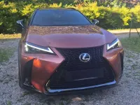 Usata Lexus UX 300h 152 CV (111 kW) 2024 Bronzo SUV