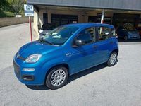 Nuova Fiat Panda Icon 69 CV (50 kW) 2025 Azzurro Berlina