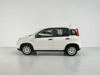 Usata Fiat Panda S 70 CV (51 kW) 2024 Bianco Utilitaria