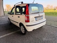 Usata Fiat Panda 60 CV (44 kW) 2010 Bianco Utilitaria