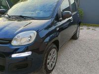 Usata Fiat Panda Easy 80 CV (58 kW) 2019 Utilitaria