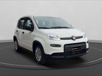 usata Fiat Panda Nuova 2012 1.0 FireFly 70cv S and S 6m Hybrid