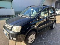 Usata Fiat Panda 4x4 60 CV (44 kW) 2008 Utilitaria
