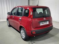 Usata Fiat Panda Easy 69 CV (50 kW) 2020 Grigio Utilitaria